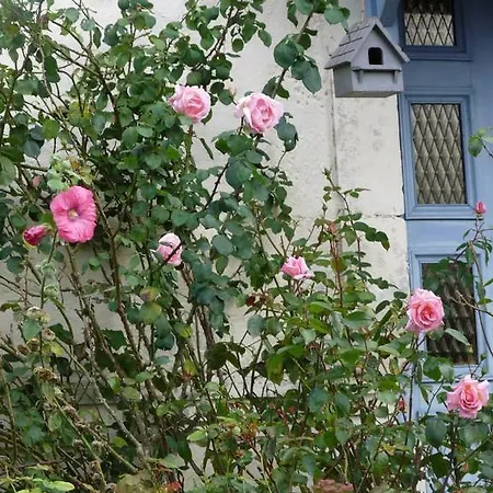 Le Jardin D'anita Bed & Breakfast Écouché