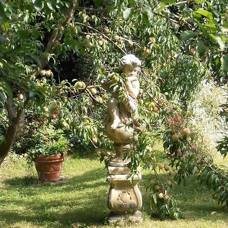 Le Jardin D'anita Bed & Breakfast Écouché