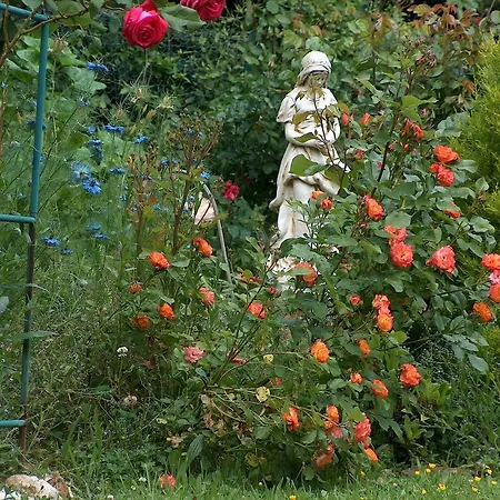 Le Jardin D'anita Écouché